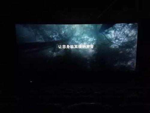 电影内幕爆料最新消息,最新爆料揭露幕后真相