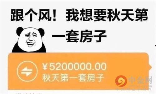 最新热梗爆料