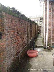 长春养猪场爆料视频最新