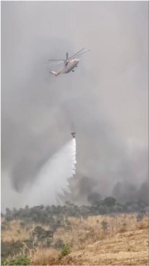 桂平石龙山火最新爆料