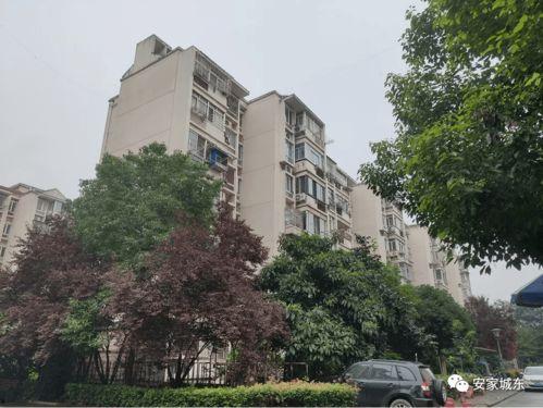 九龙小区爆料视频最新版,惊人真相曝光！